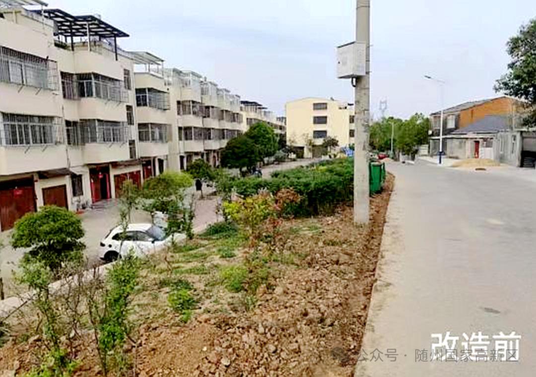 半月前还杂乱无章，如今月季娇艳！随州这社区咋变的？  第2张