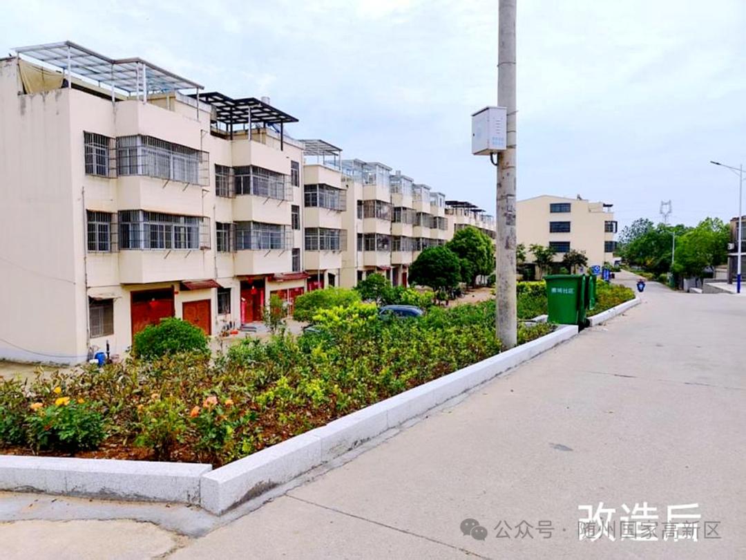 半月前还杂乱无章，如今月季娇艳！随州这社区咋变的？  第3张
