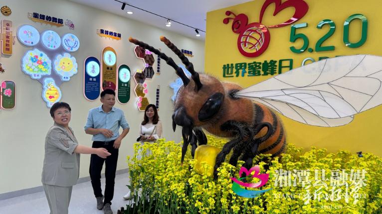 5·20世界蜜蜂日！长株潭首家蜜蜂科普馆将开馆，你去过吗？  第2张