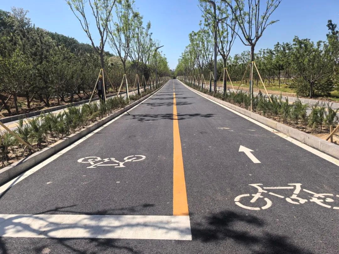 仅6分钟！北京城市副中心这一慢行系统亮点何时建成投用？  第3张