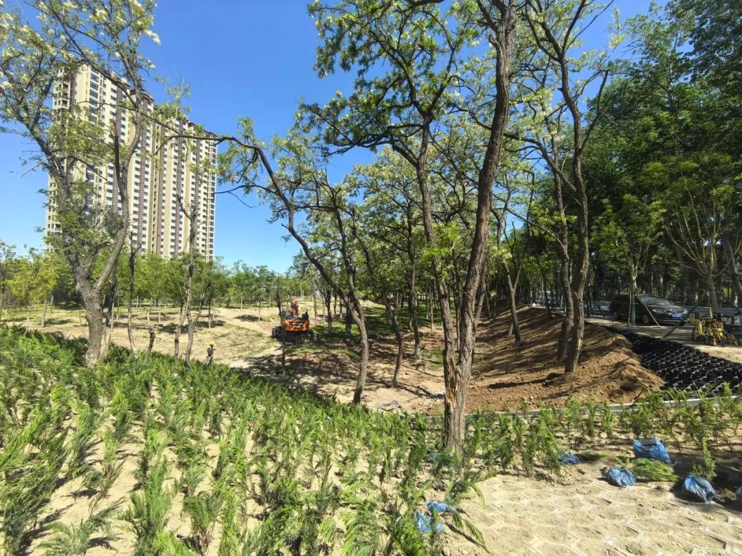 仅6分钟！北京城市副中心这一慢行系统亮点何时建成投用？  第4张