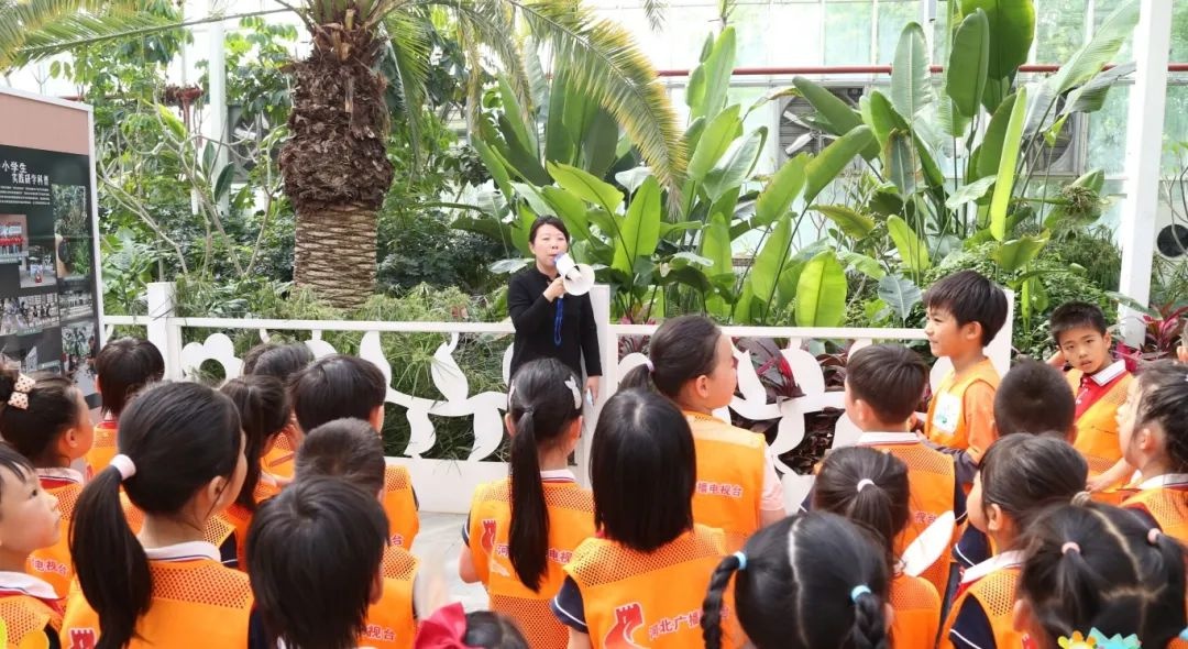 四月末龙泉书院亲子活动超精彩？图书分类与温室植物探索等你来  第3张