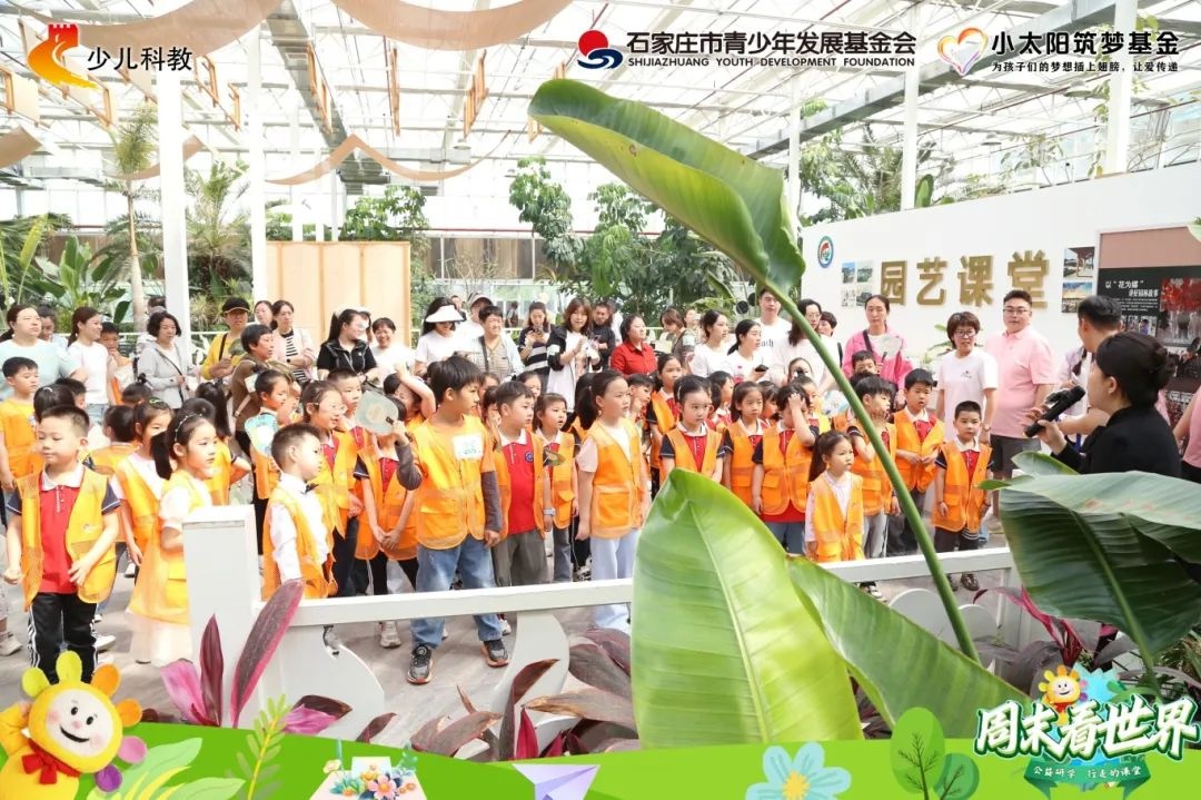 四月末龙泉书院亲子活动超精彩？图书分类与温室植物探索等你来  第9张