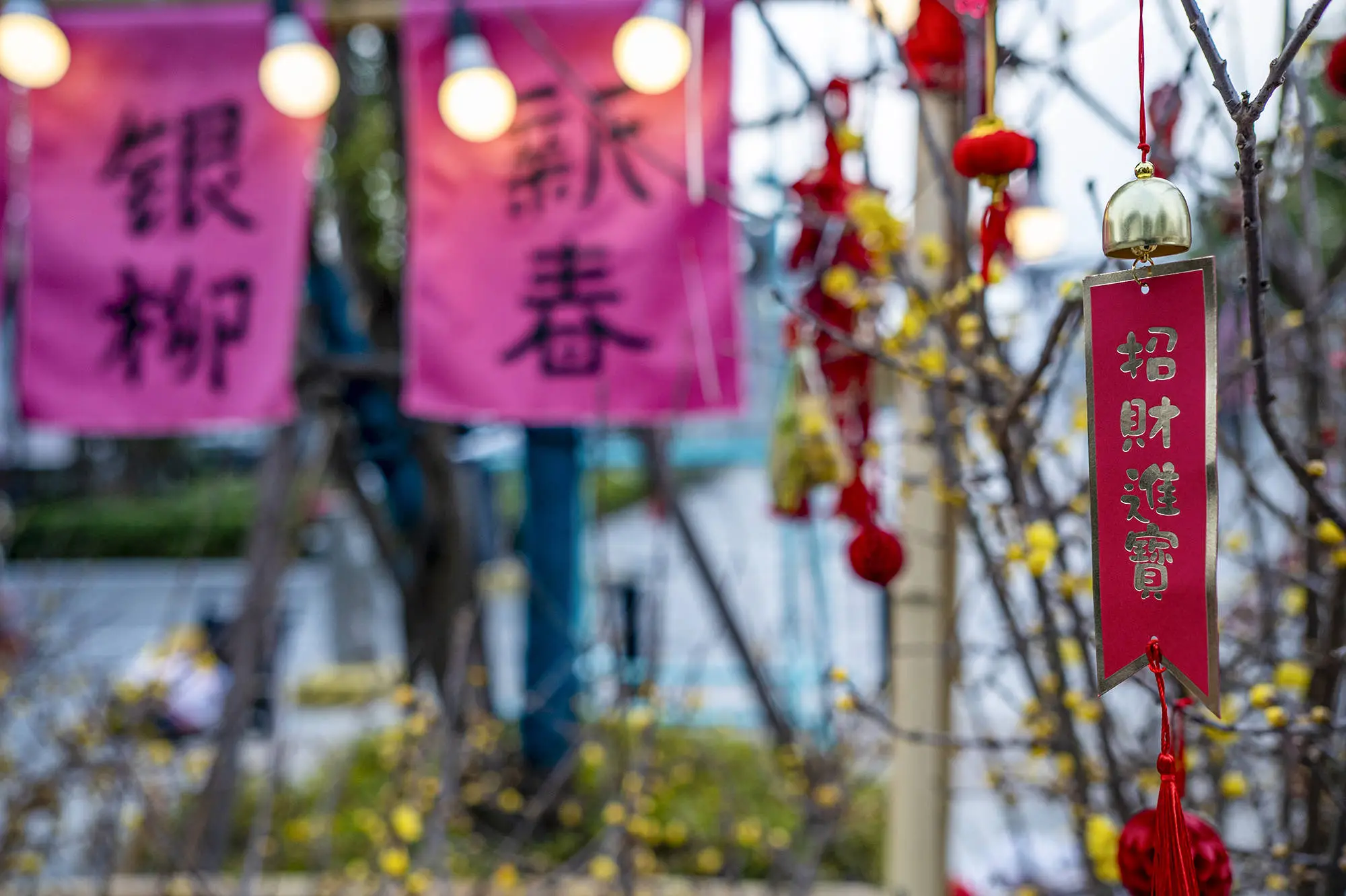 临近春节！摄影师镜头里上海各处中国红，这节日喜庆气氛谁看了不心动？  第9张