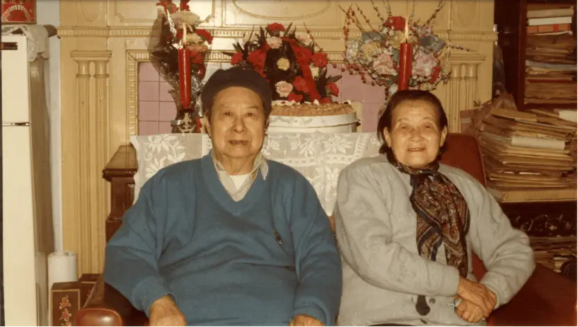 施蛰存：为何他笔下的女性角色如此鲜活？揭秘他与女作家们的深厚情谊  第2张