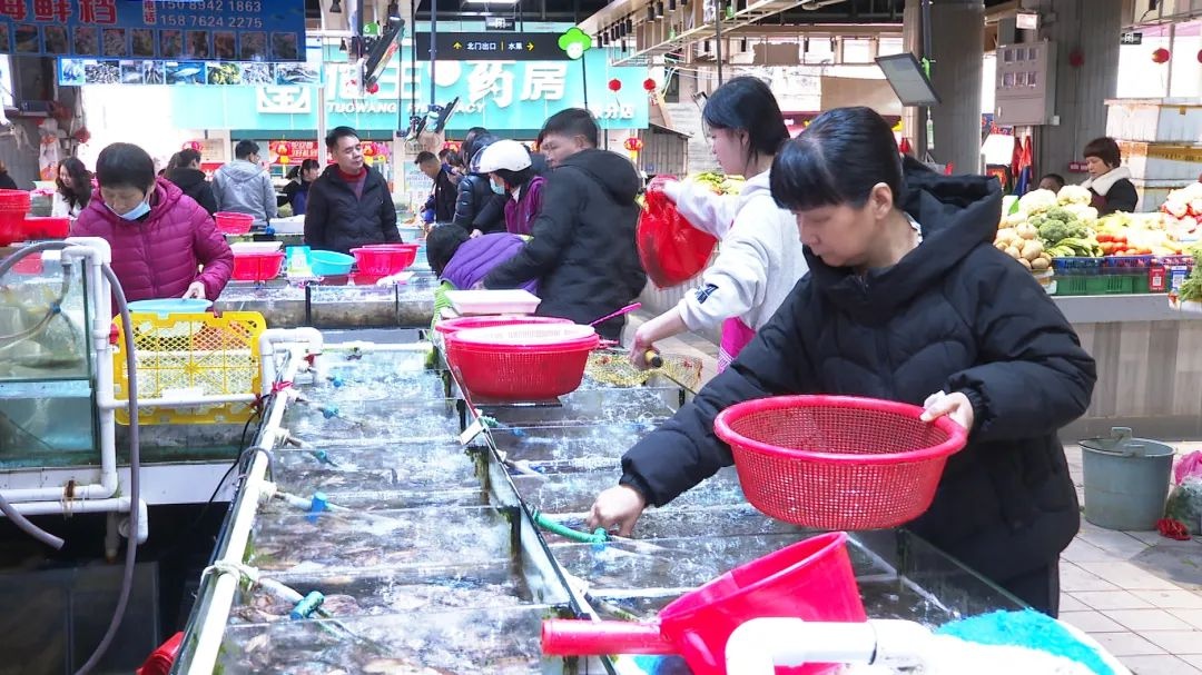 春节菜篮子大揭秘:龙川市民如何轻松拎稳节日餐桌? 第3张 春节菜篮子大揭秘:龙川市民如何轻松拎稳节日餐桌? 第3张