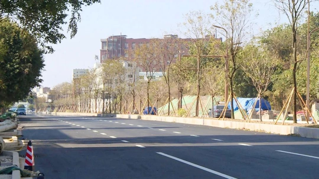 银槐西路通车了！双向六车道、1.44公里长，去潮州大道和外环路有多方便？  第4张