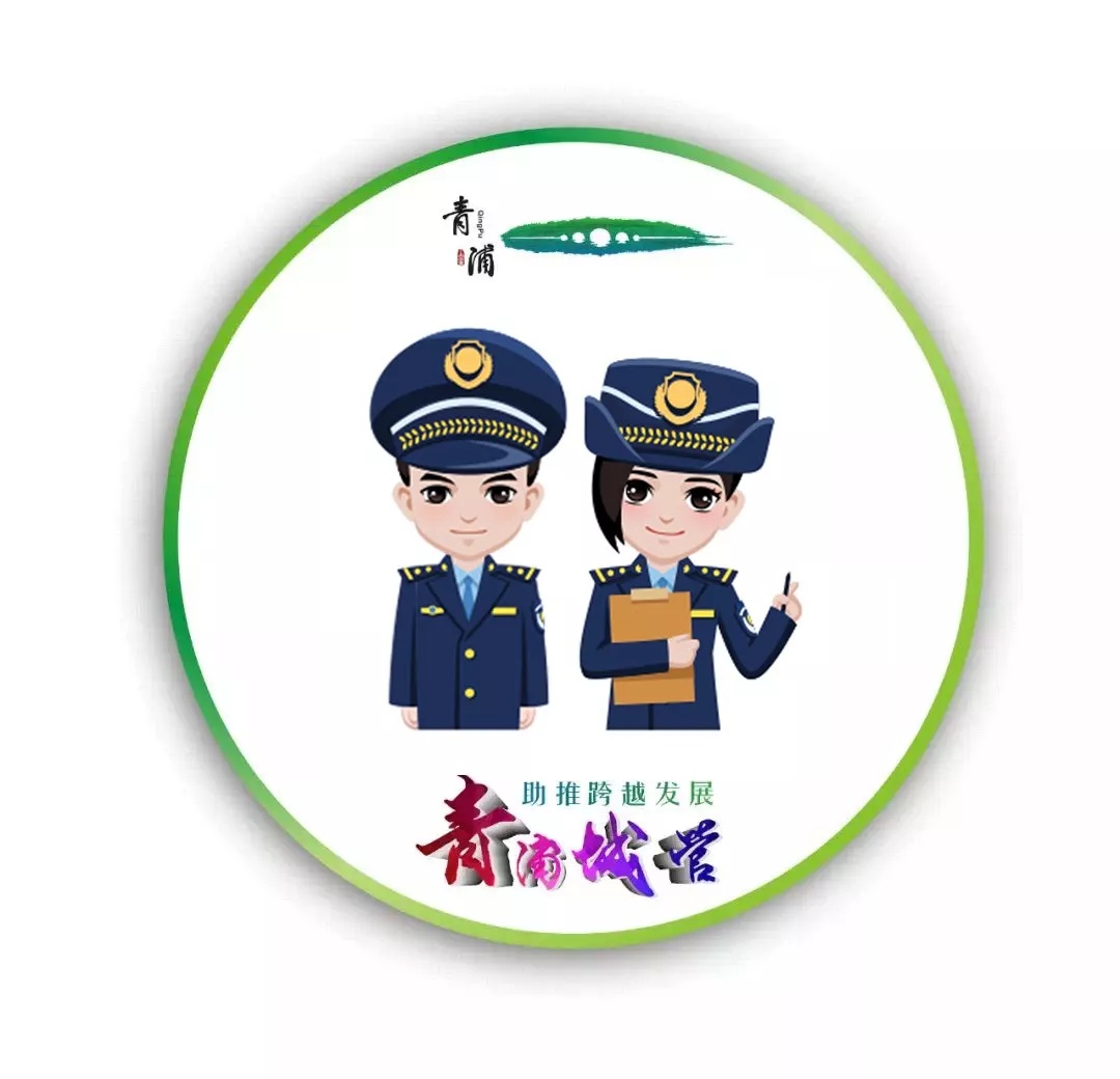 金泽镇如何打造整洁有序的市容环境？新春专项整治行动揭秘  第4张