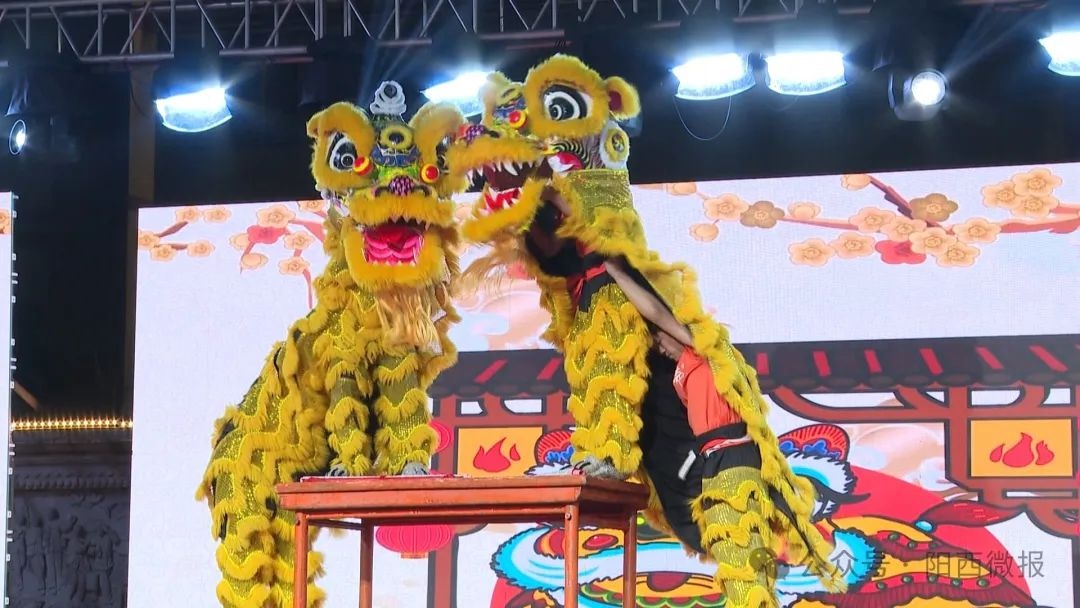 阳西县2025年新春文艺晚会精彩纷呈，你错过了哪些震撼瞬间？  第2张