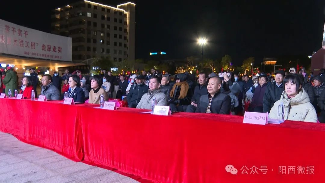 阳西县2025年新春文艺晚会精彩纷呈，你错过了哪些震撼瞬间？  第6张