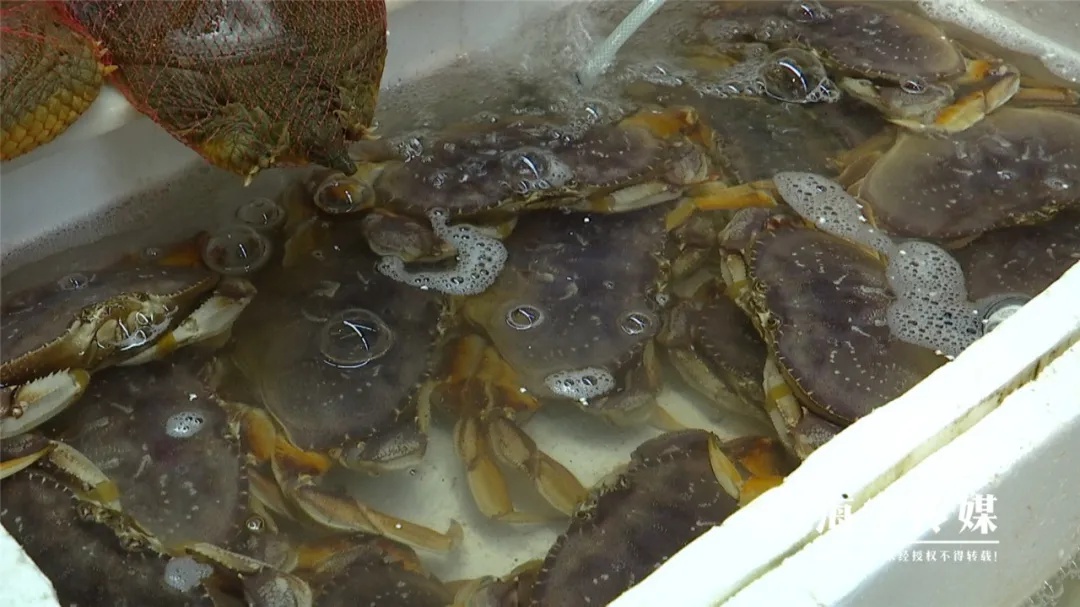 30年来头一遭！高档海鲜价格大跳水，今年春节为何如此反常？  第2张