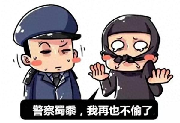 岁末年关公共场所扒窃频发怎么办?警察蜀黍教扒手原形毕露!  第1张