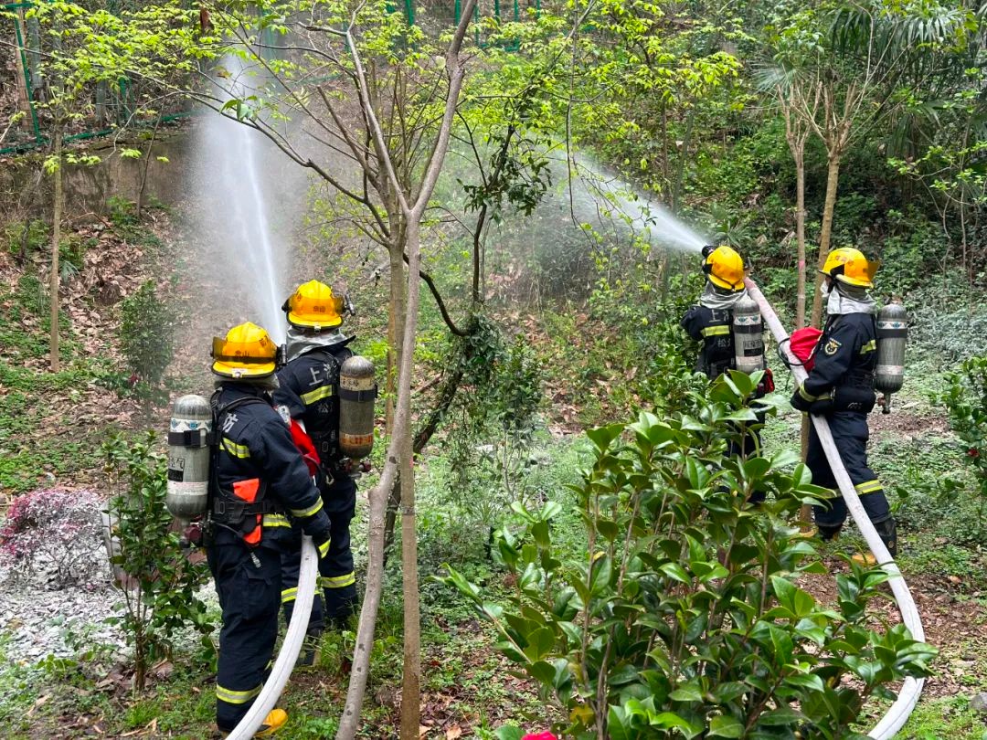 松江区消防多项行动防林地火灾，有何秘诀?!  第2张