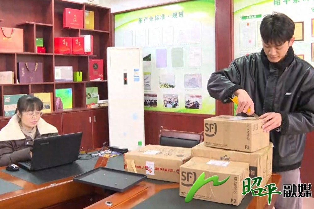 广西早春茶品质评价活动进入冲刺阶段，你准备好了吗？