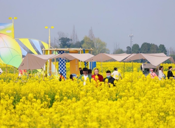 想知道成都春日最美的花香与酒香之旅吗？快来探索这10条绝佳线路  第2张