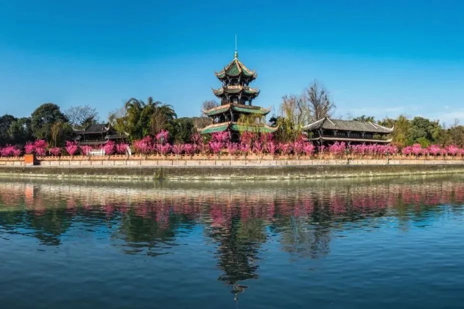 想知道成都春日最美的花香与酒香之旅吗？快来探索这10条绝佳线路  第3张