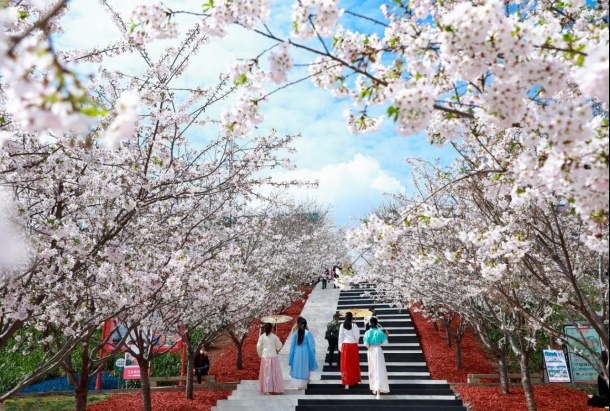 想知道成都春日最美的花香与酒香之旅吗？快来探索这10条绝佳线路  第4张