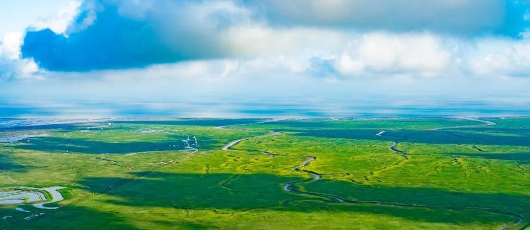 崇明空气质量全市第一！你呼吸的空气有多清新？  第2张