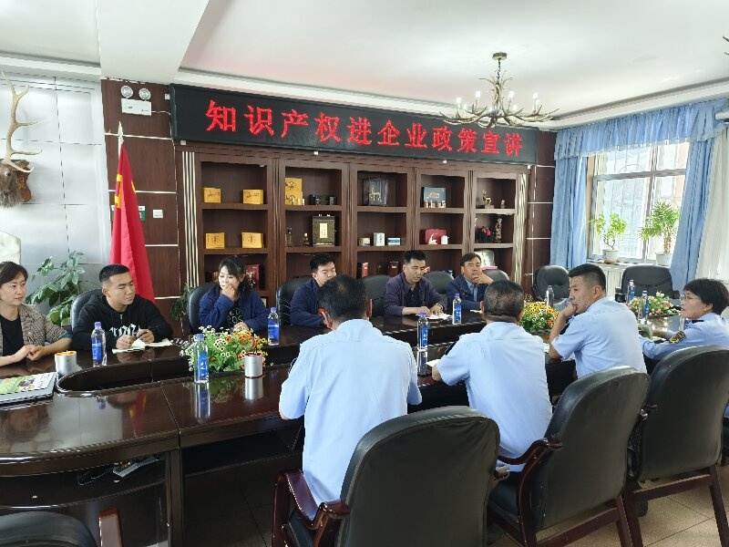 肃南县如何通过知识产权战略激发企业创新活力？揭秘全链条服务体系  第2张