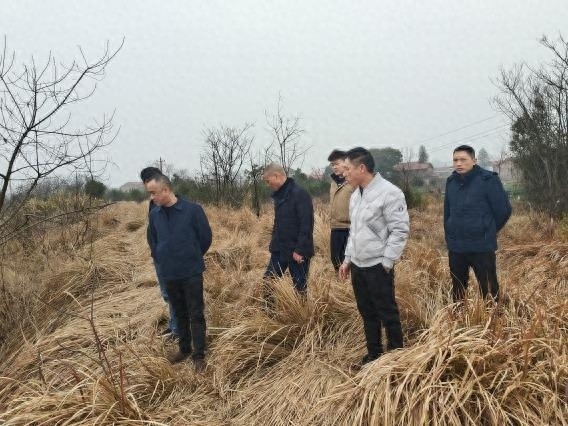 珠晖区水利局如何筑牢防汛安全防线？汛前检查大揭秘  第1张