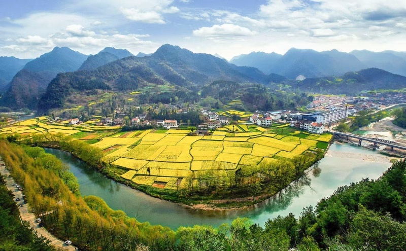 2025年汉中百万亩油菜花海即将盛放，你准备好迎接这场春日盛宴了吗？  第2张