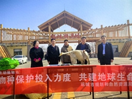 2025年野生动物保护大行动！你准备好加入拯救地球生命共同体的行列了吗？  第1张