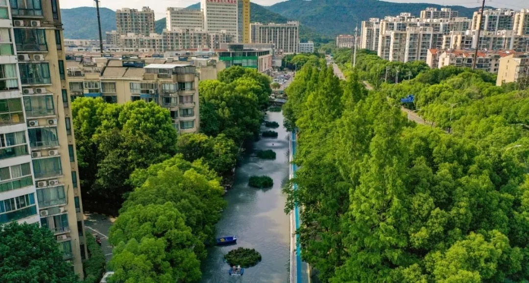 无锡如何在地少人多的困境下，实现造林绿化面积的大幅增长？  第3张