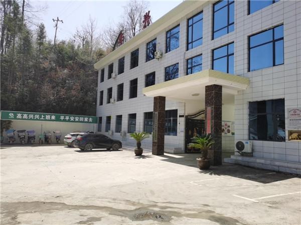 魔芋种子免费发放，兴隆镇如何助力乡村振兴？  第2张