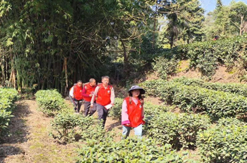 2025年车岭镇如何守护森林？四级应急响应背后的秘密  第1张