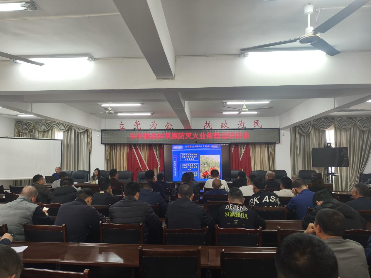 2025年车岭镇如何守护森林？四级应急响应背后的秘密  第2张