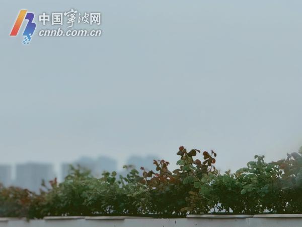 宁波市民为何在3月经历冰火两重天？揭秘罕见气象背后的真相  第4张