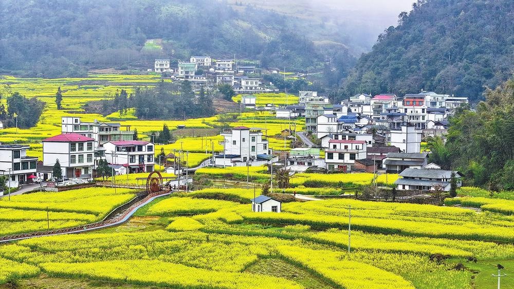 文山大地春色满园，你准备好迎接这场视觉盛宴了吗？  第3张