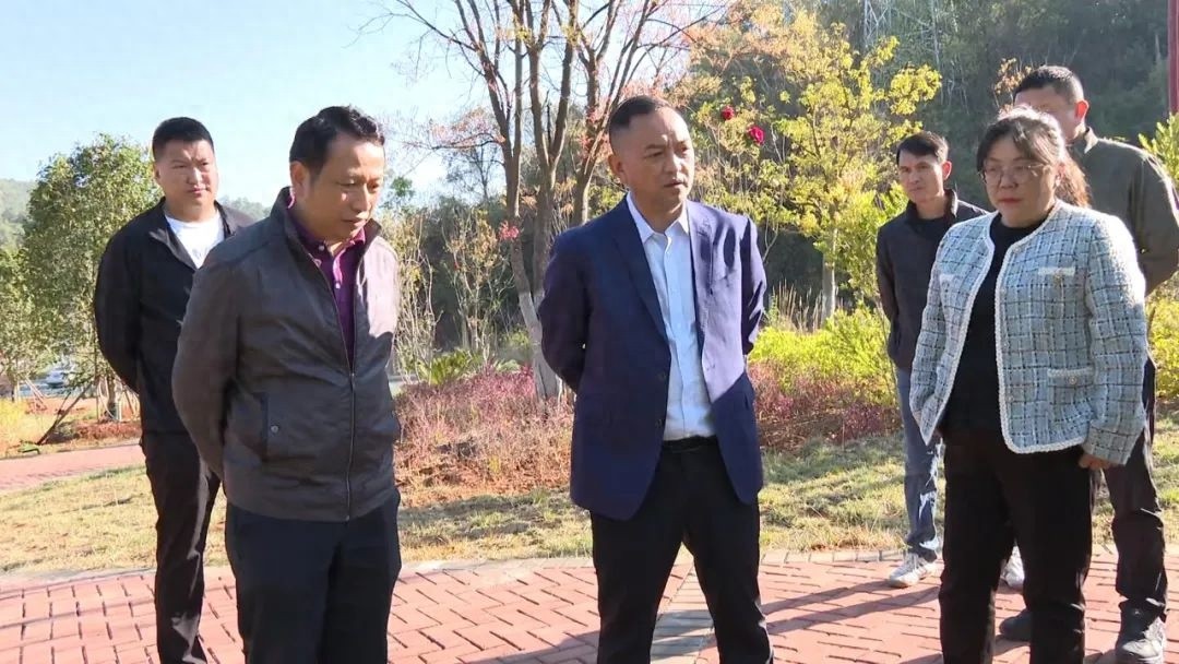楚雄市绿化大升级！罗兴贵市长亲自督导，你的生活环境将如何改变？