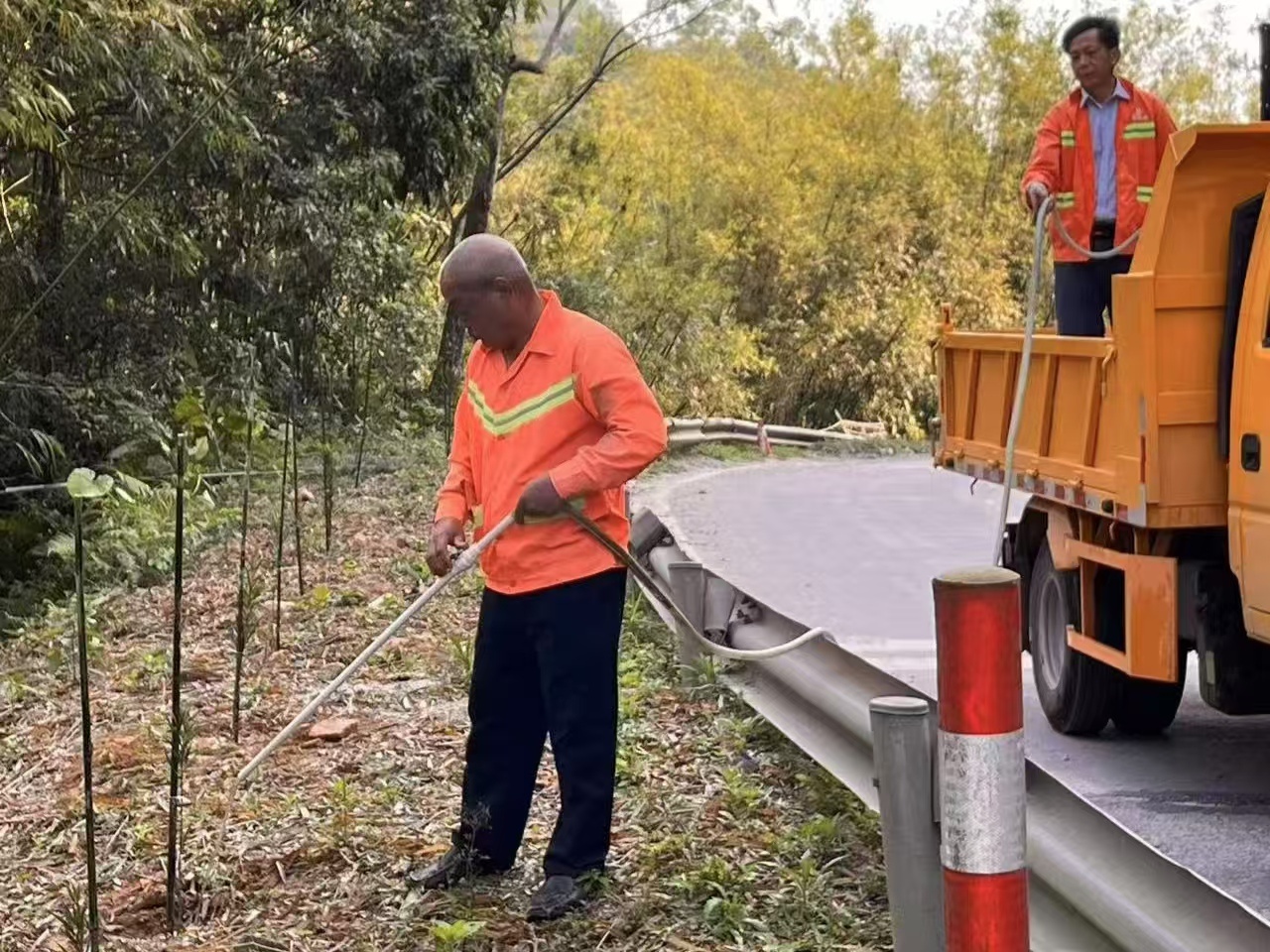 广东干线公路大变样！植树节后，这些改变你注意到了吗？  第2张
