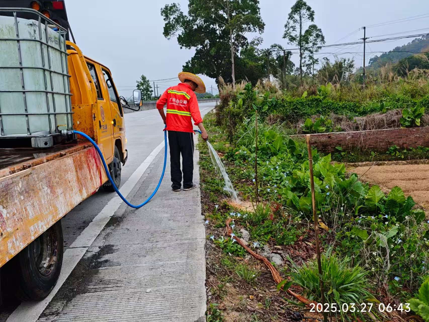 广东干线公路大变样！植树节后，这些改变你注意到了吗？  第4张