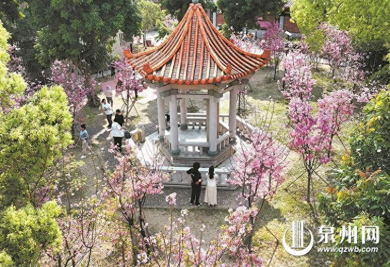 泉州气温骤降10℃，体感秒回冬天！你准备好迎接寒潮了吗？