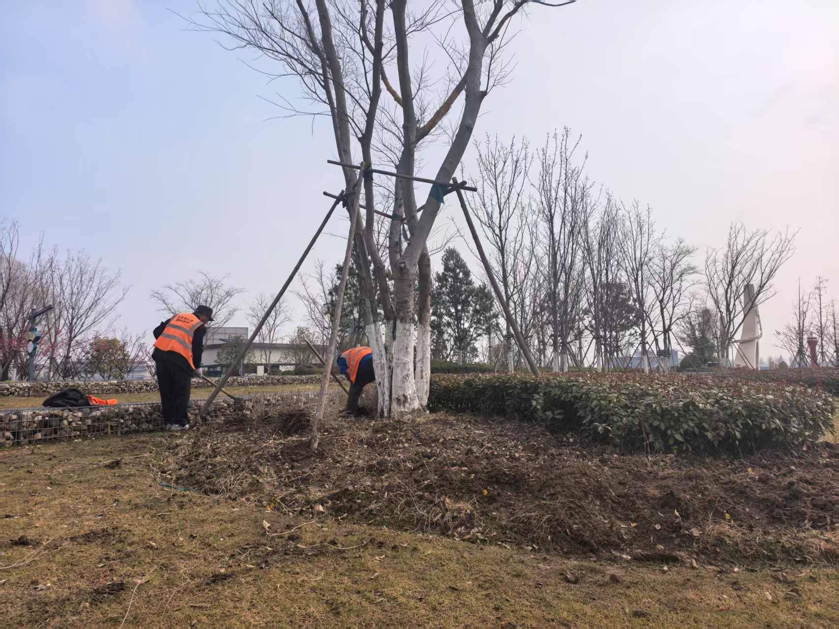 运河湾公园春季补植大动作！如何打造最佳休闲空间？  第2张