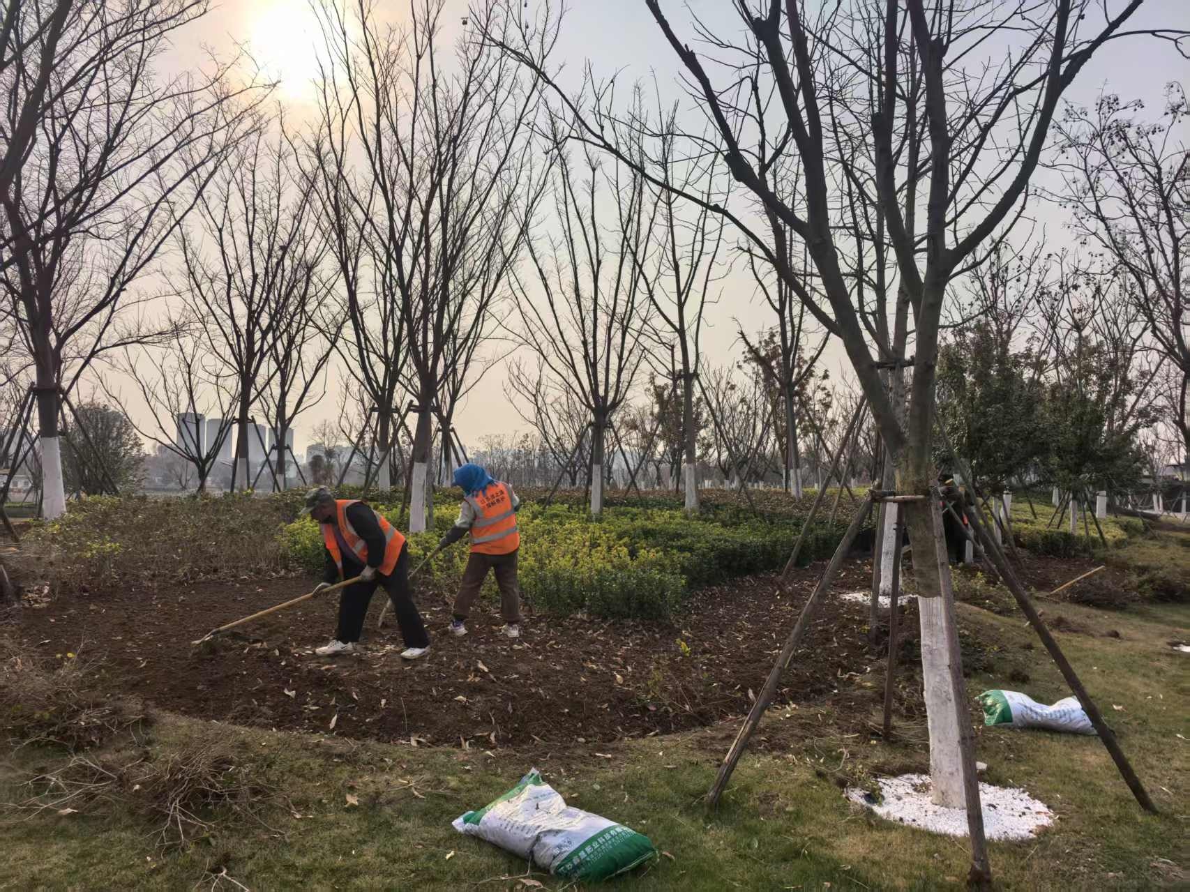 运河湾公园春季补植大动作！如何打造最佳休闲空间？  第4张