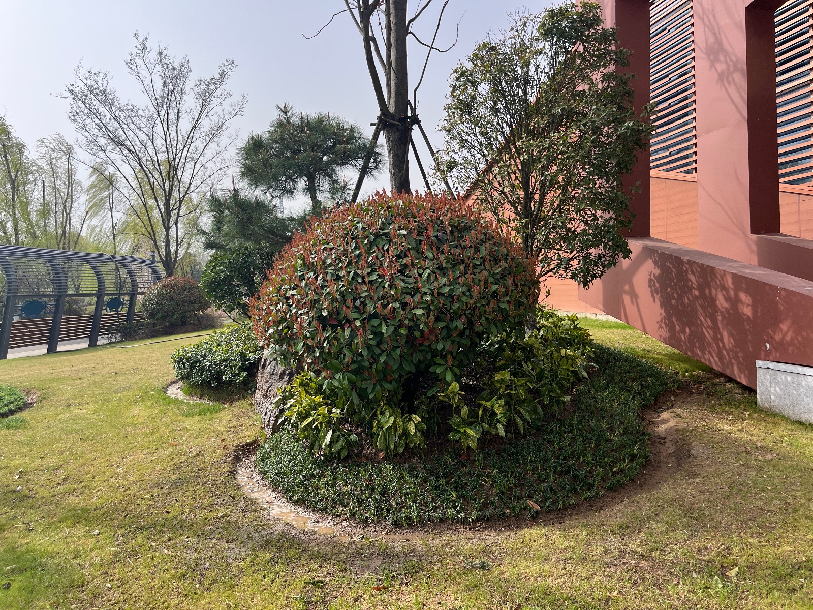 运河湾公园春季补植大动作！如何打造最佳休闲空间？  第8张