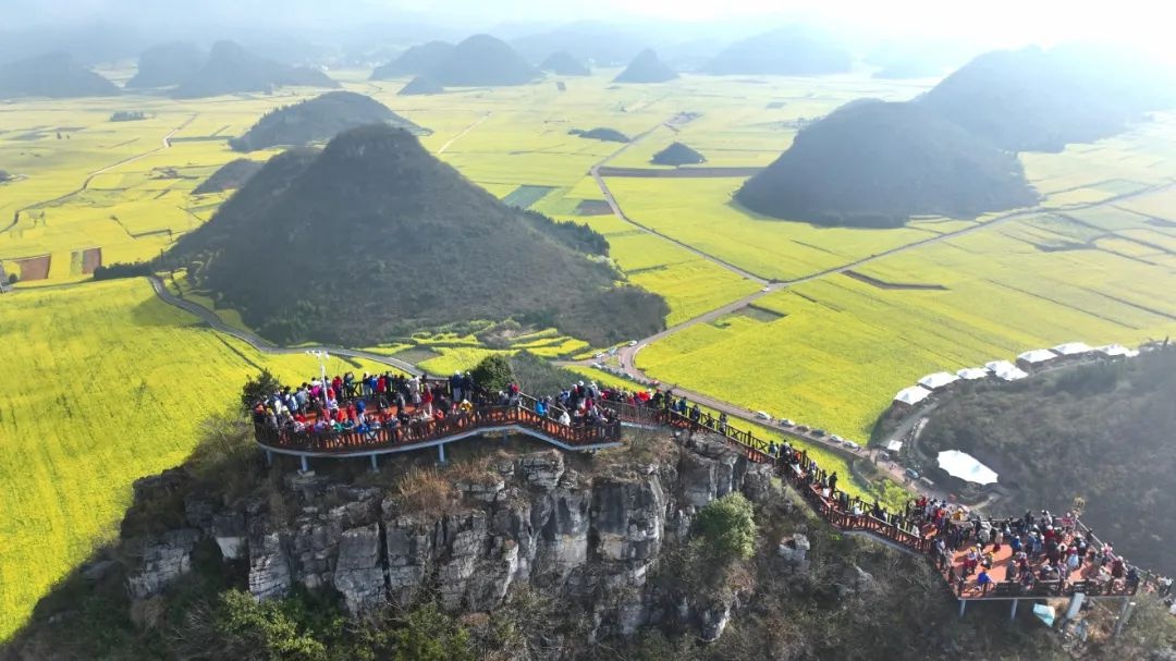 云南罗平百万亩油菜花海震撼绽放，你准备好迎接这场金色盛宴了吗？  第2张