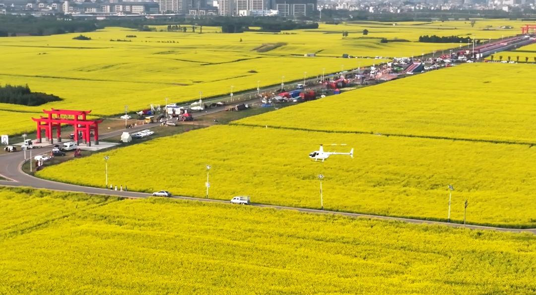 云南罗平百万亩油菜花海震撼绽放，你准备好迎接这场金色盛宴了吗？  第6张