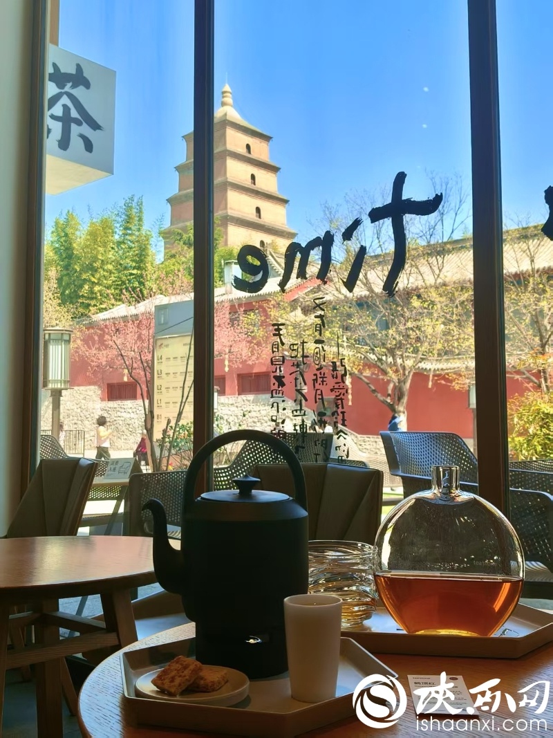 春茶上市引抢鲜潮!年轻人为何成新茶客主力?  第4张