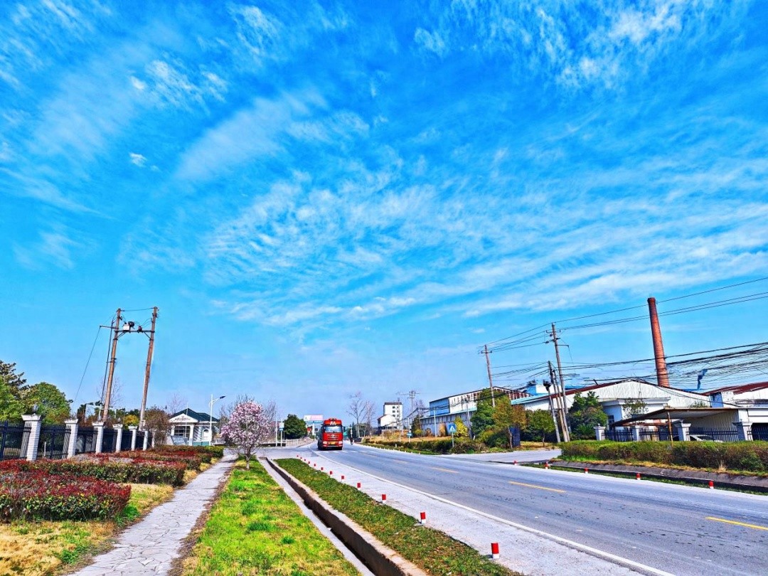 从杂乱不堪到诗画风景！S311分当线金沙收费站至窑湾集镇段如何实现华丽蜕变？  第1张