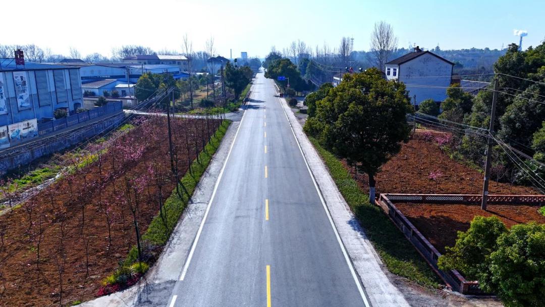 从杂乱不堪到诗画风景！S311分当线金沙收费站至窑湾集镇段如何实现华丽蜕变？  第3张