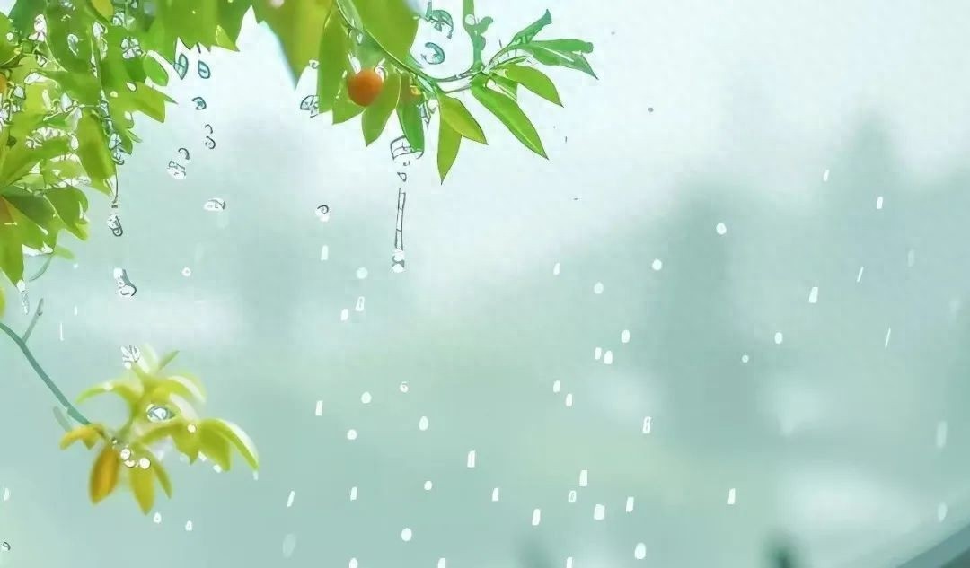 初夏的雨说来就来！一小时50毫米的雨会带来啥？