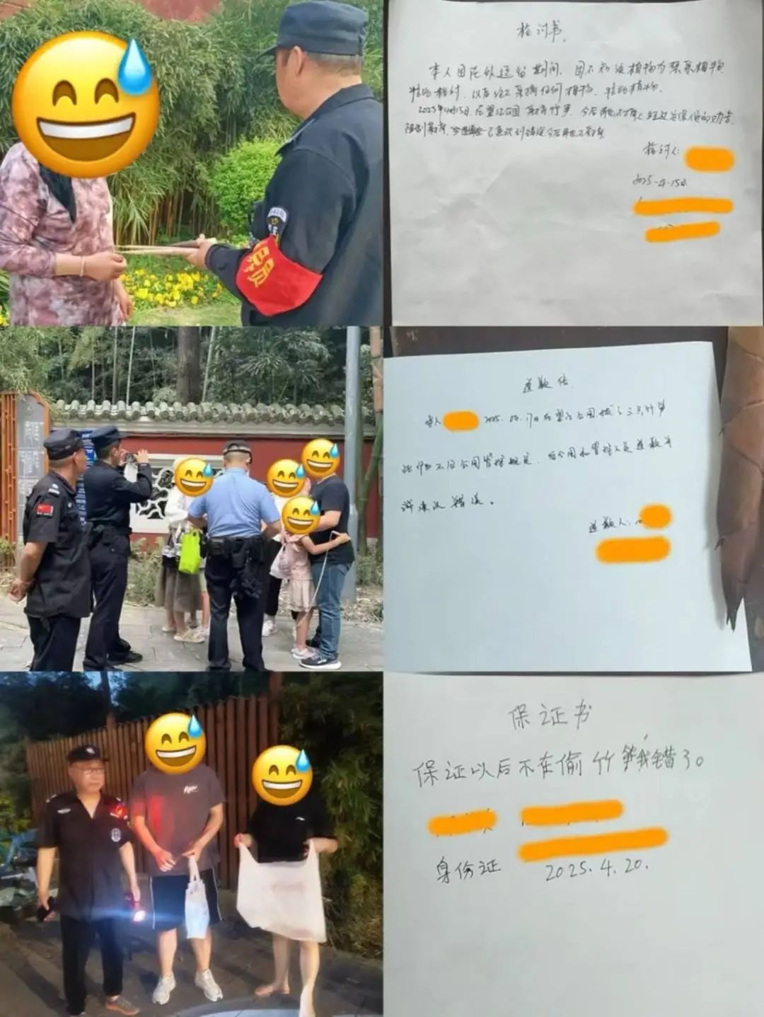 成都望江楼公园竹笋被偷挖！竹林遭重创谁来守护？  第4张