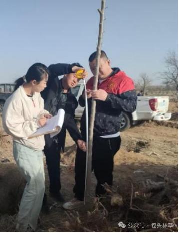 造林绿化黄金时节！固阳县林草原局如何守护每一片新绿？