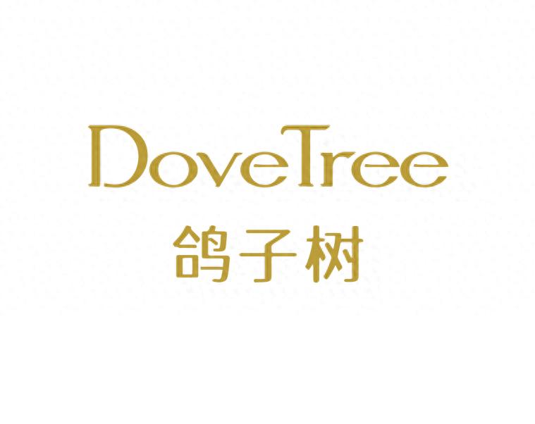 青岛的鸽子树公益！她如何把爱种进孩子心里，撑起安全天空？