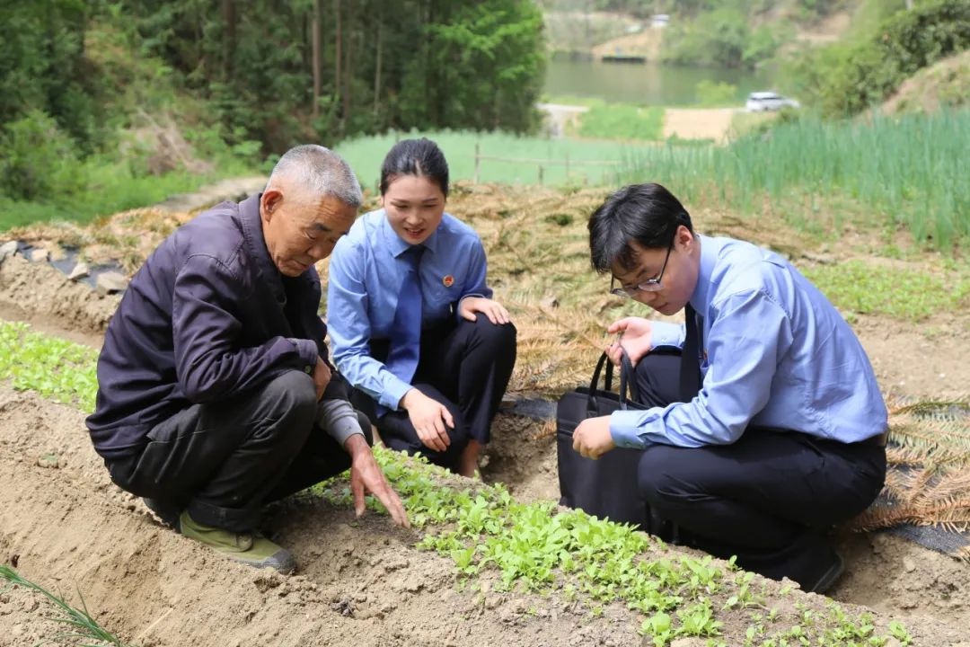 谷雨时节春耕忙！种子备案出问题，农民一年心血岂不是要打水漂？  第2张