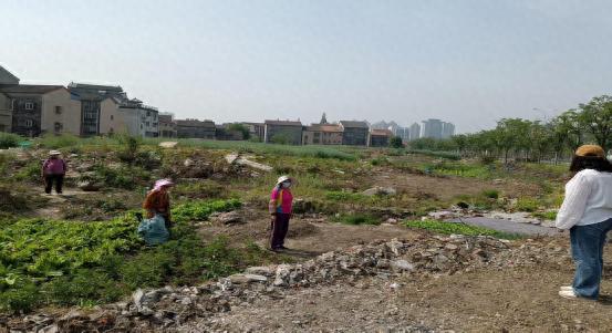 城市围挡围而不建问题严重？东城街道妙招破解